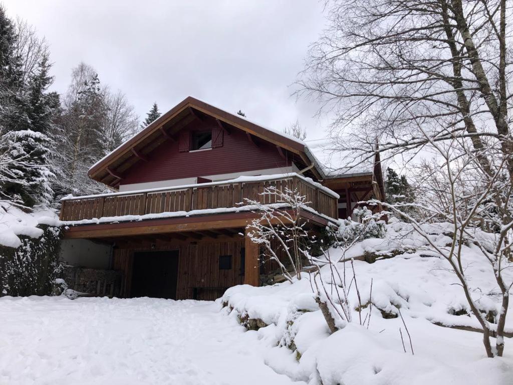 Les Cimes Blanches Cledicihome Chalet 10 Pers Spa & Grand Terrain 4 Minutes Des Pistes La Bresse Zewnętrze zdjęcie