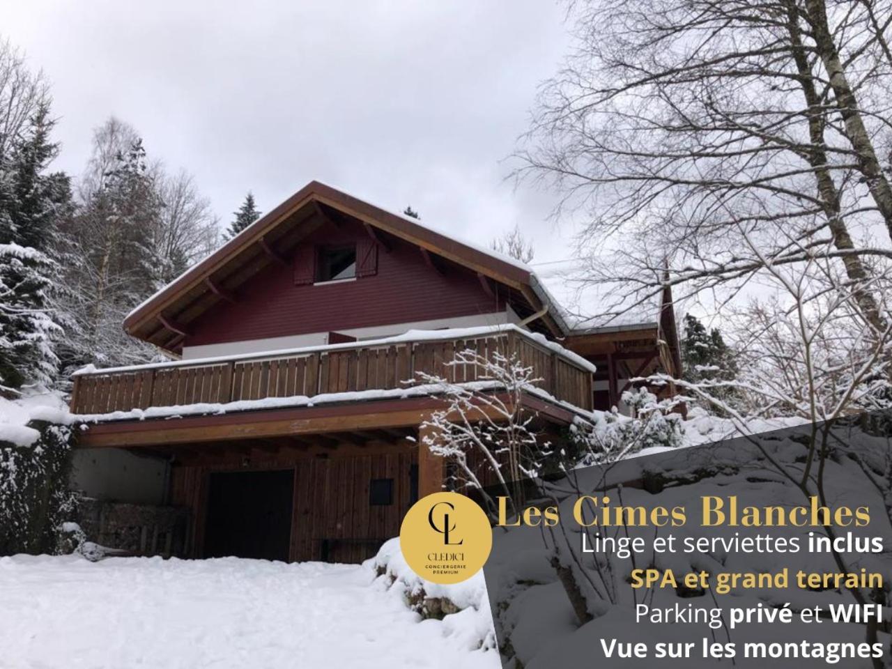 Les Cimes Blanches Cledicihome Chalet 10 Pers Spa & Grand Terrain 4 Minutes Des Pistes La Bresse Zewnętrze zdjęcie